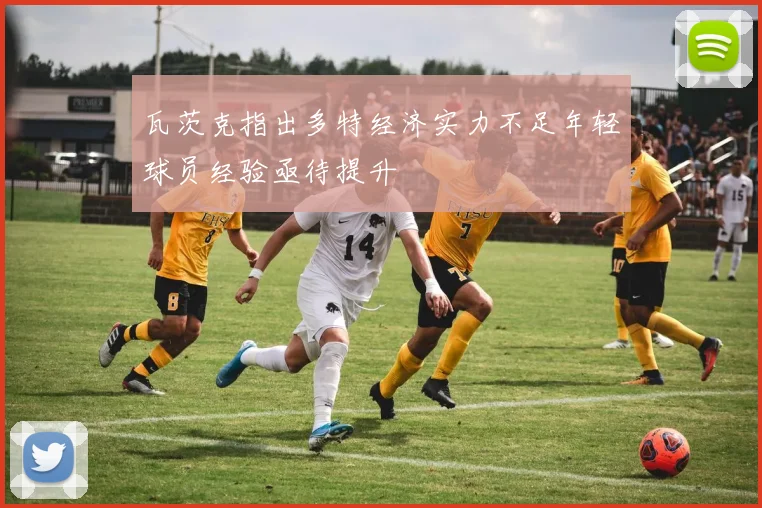 瓦茨克指出多特经济实力不足年轻球员经验亟待提升